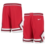 Nike NBA Icon Edition Swingman Shorts - Chicago Bulls